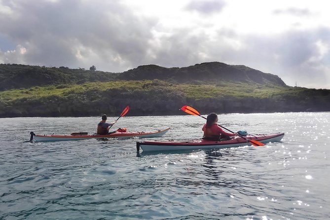 Kayak Mangroves or Coral Reef: Private Tour in North Okinawa - Additional Info