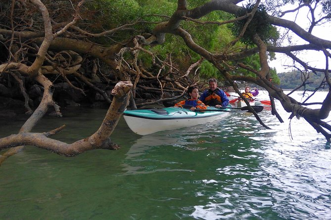 Kayak Mangroves or Coral Reef: Private Tour in North Okinawa - Directions