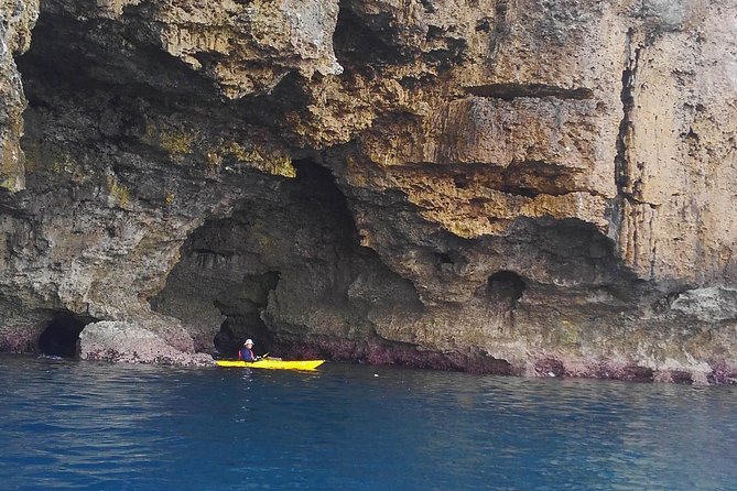 Kayak Mangroves or Coral Reef: Private Tour in North Okinawa - Frequently Asked Questions