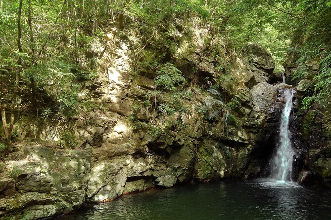 Jungle River Trek: Private Tour in Yanbaru, North Okinawa - Directions