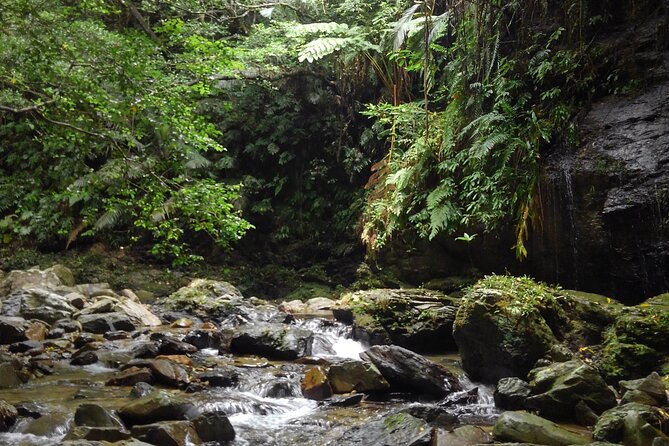 Jungle River Trek: Private Tour in Yanbaru, North Okinawa - Additional Info