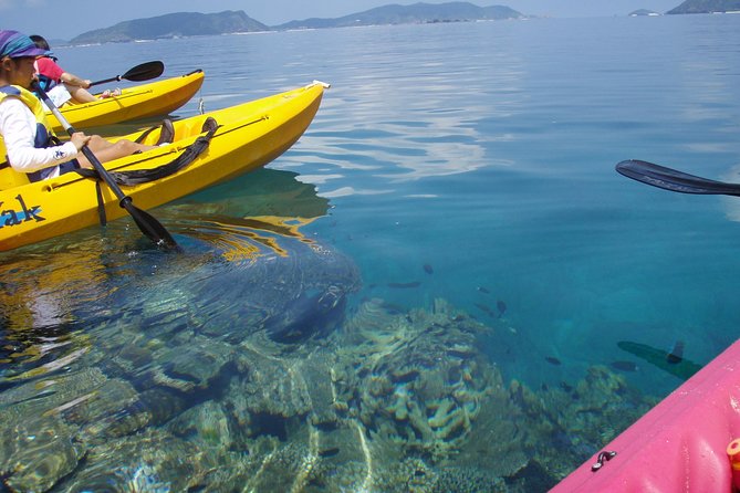 Lets Go to a Desert Island of Kerama Islands on a Sea Kayak - Pricing and Inclusions