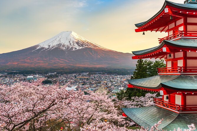 Mount Fuji Private Tour by Car - English Speaking Driver - Just The Basics