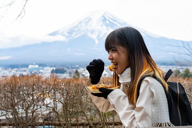 Mount Fuji Private Tour by Car - English Speaking Driver - Additional Information and Policies