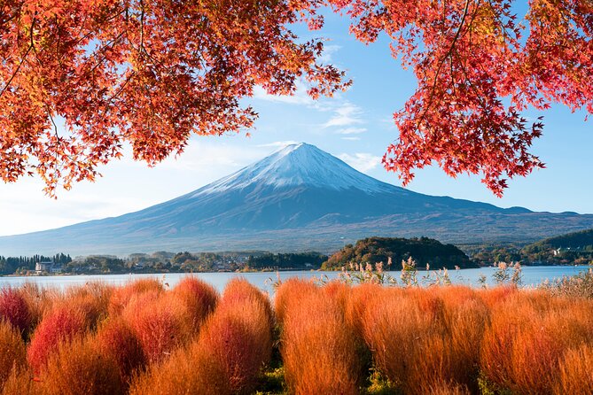 Mount Fuji Private Tour by Car - English Speaking Driver - Customer Reviews and Recommendations