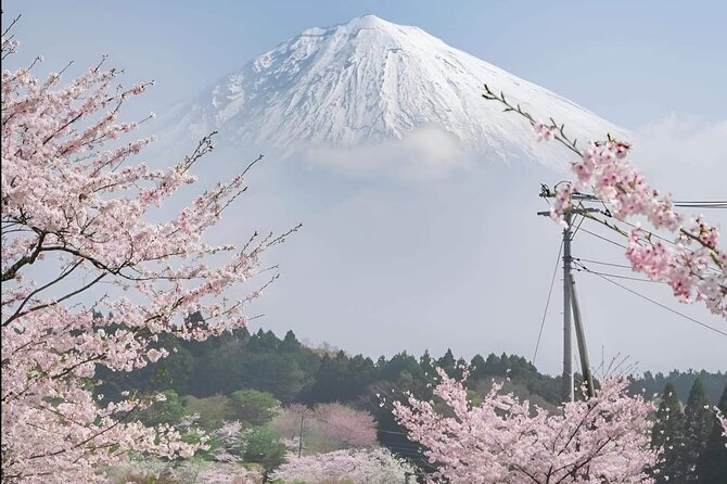 Private Day Tour in Mount Fuji From Tokyo - Key Takeaways