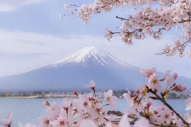 Private Day Tour in Mount Fuji From Tokyo - Additional Information