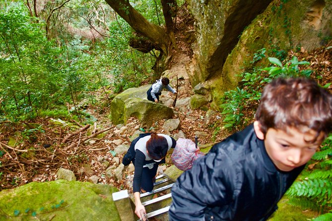 Hike Rope Ladders Miyazaki Japan - Forest and Mountain Views Adventure