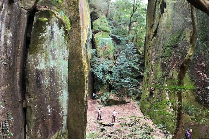 Hike Rope Ladders Miyazaki Japan - Meeting and Pickup Details