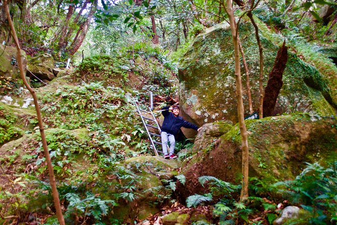 Hike Rope Ladders Miyazaki Japan - Bottled Water Provision