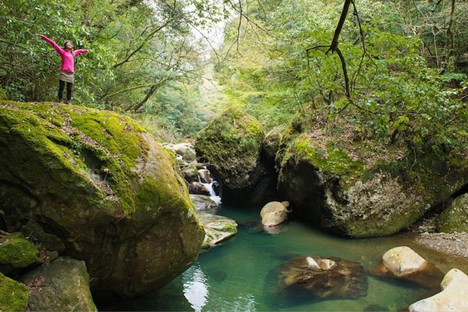 Miyazaki Valley Waterfall Hike - Flora and Fauna