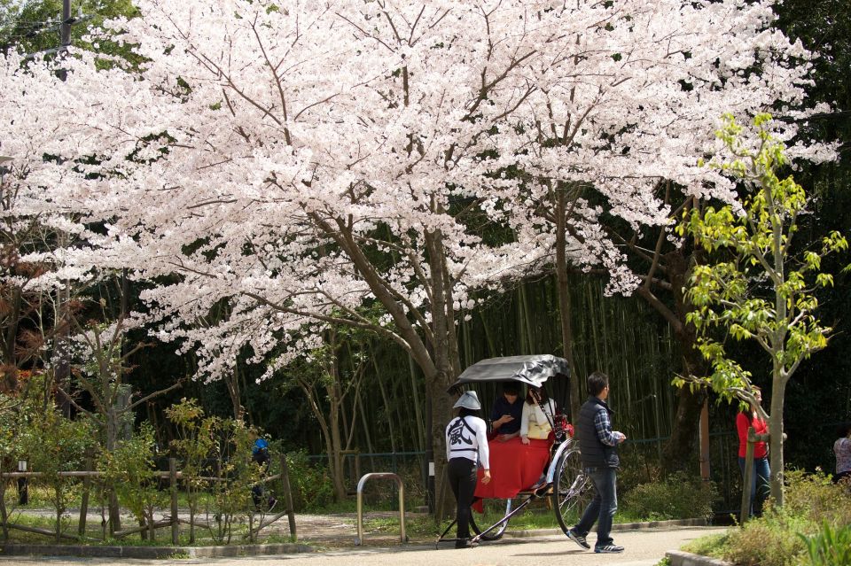 Kyoto: Arashiyama Customized Rickshaw Tour & Bamboo Forest - Highlights and Inclusions