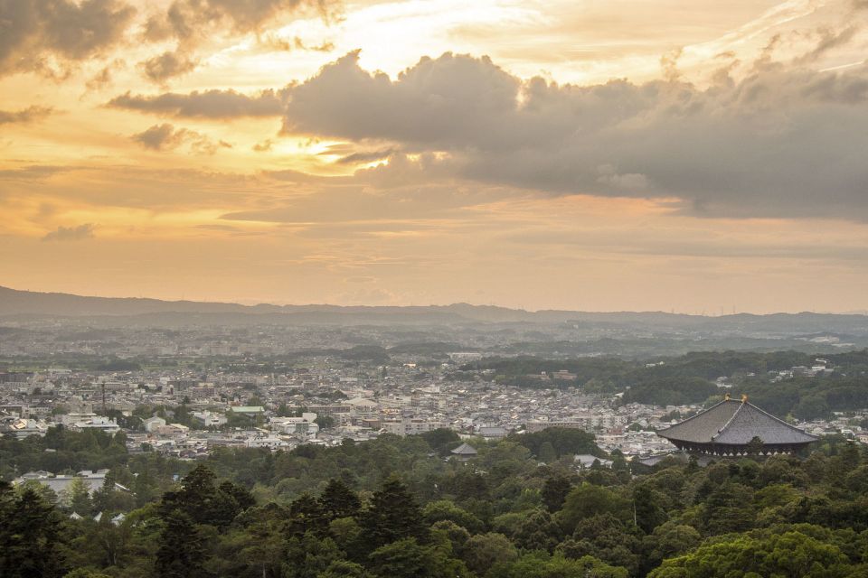 Nara Like a Local: Customized Guided Tour - Key Takeaways