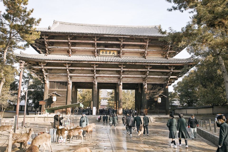 Nara Like a Local: Customized Guided Tour - Flexible Options