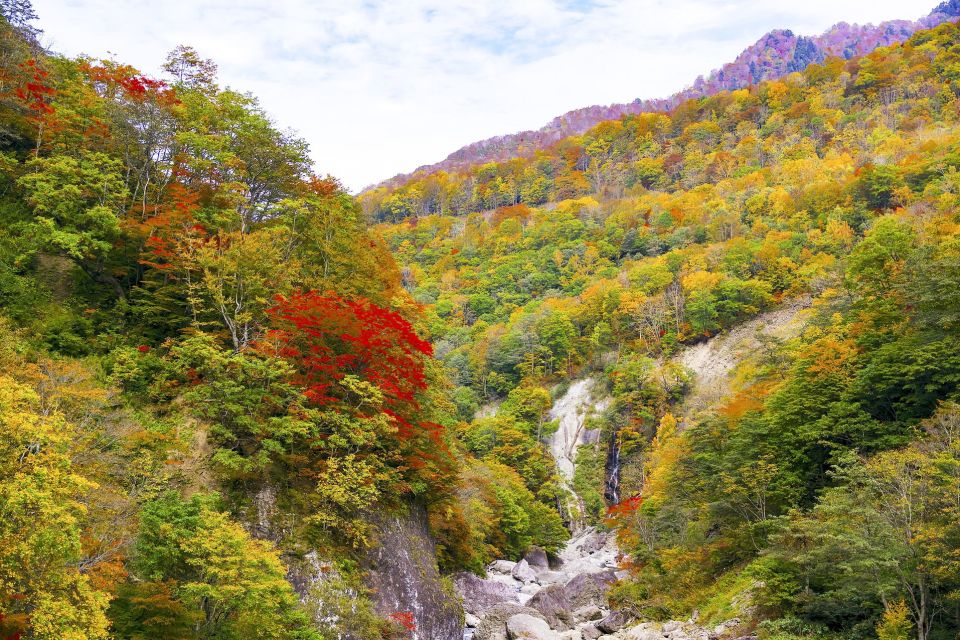 Welcome to Nagano: Private Tour With a Local - Inclusions