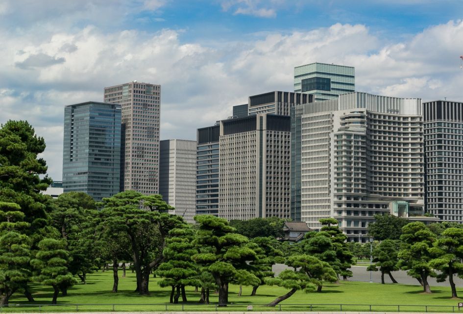 Tokyo: 1-Day Private Customizable Tour by Car - Conclusion