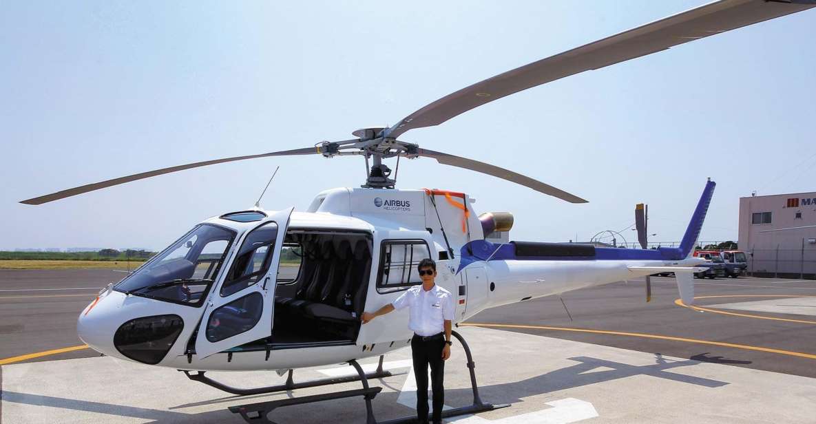 Helicopter Shuttle Service Between Narita and Tokyo - Experience Description