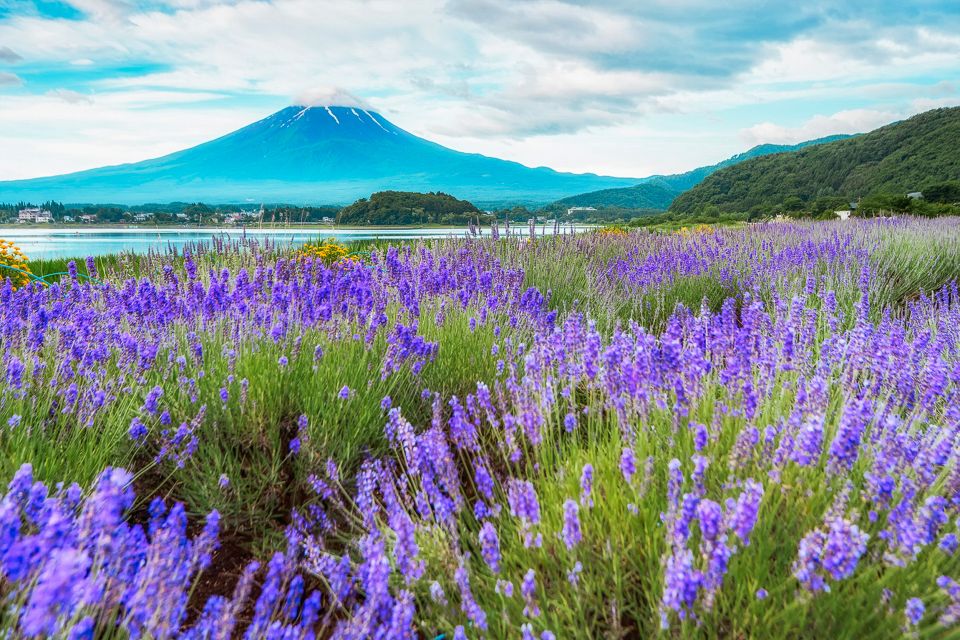 From Tokyo: Mt. Fuji Full-Day Sightseeing Trip - Tour Experience