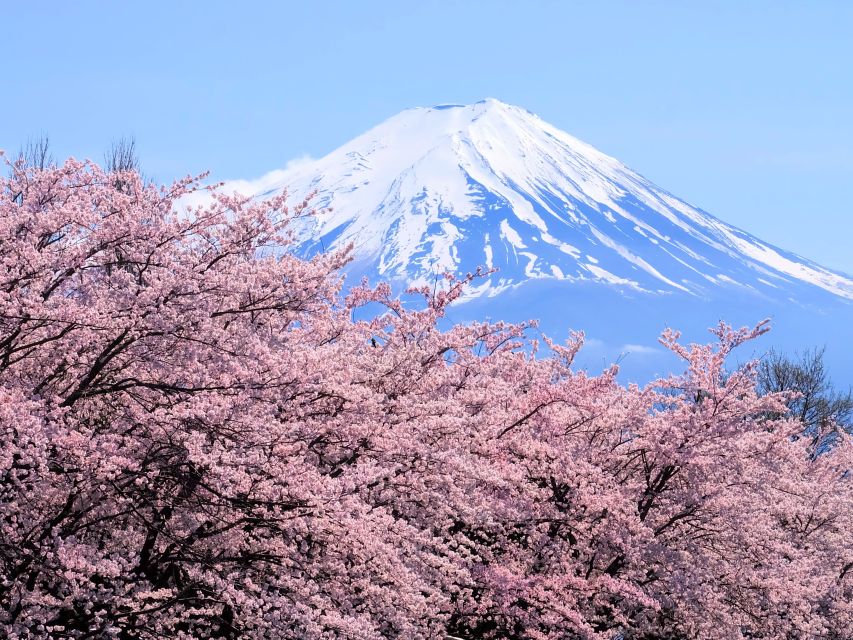 From Tokyo to Mount Fuji: Full-Day Tour and Hakone Cruise - Itinerary Highlights