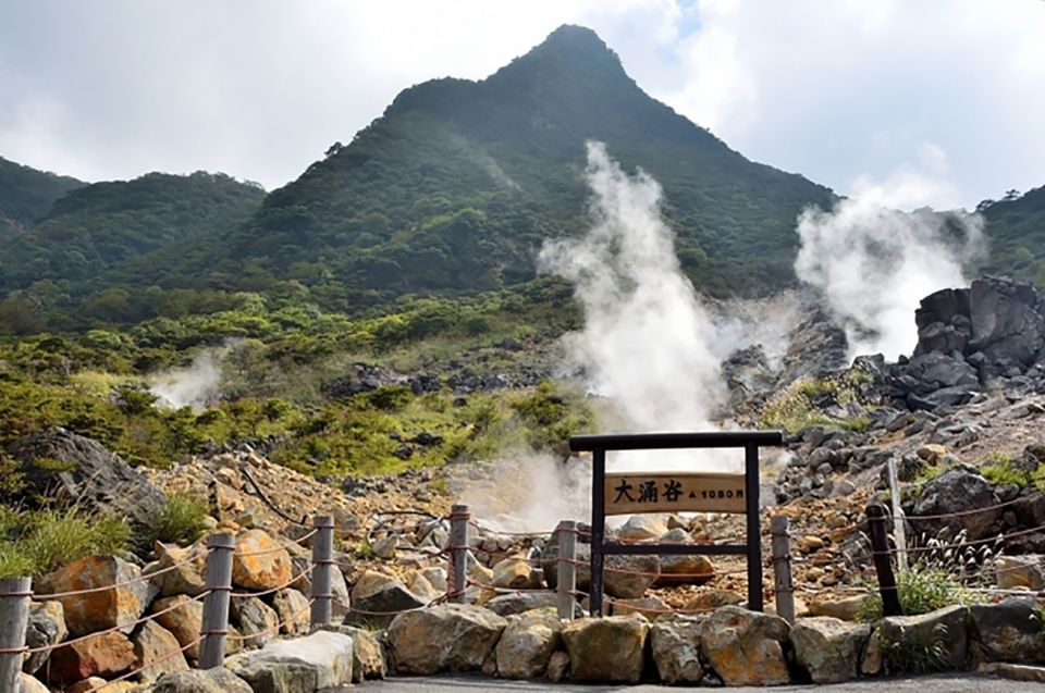 Tokyo: Hakone Fuji Day Tour W/ Cruise, Cable Car, Volcano - Key Takeaways