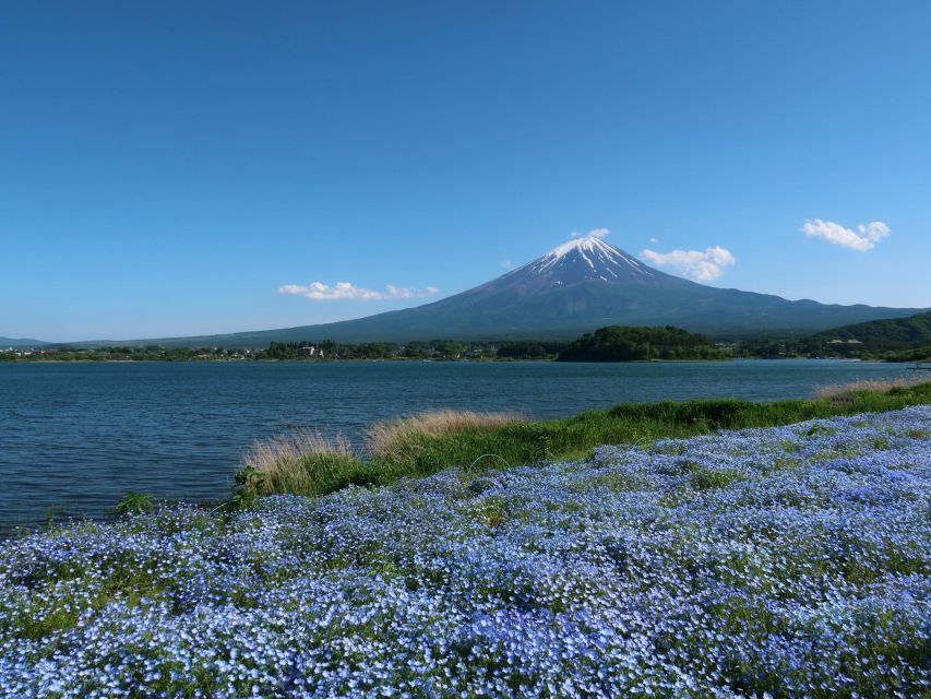 Tokyo: Mount Fuji and Lake Kawaguchi Scenic 1-Day Bus Tour - Tour Highlights