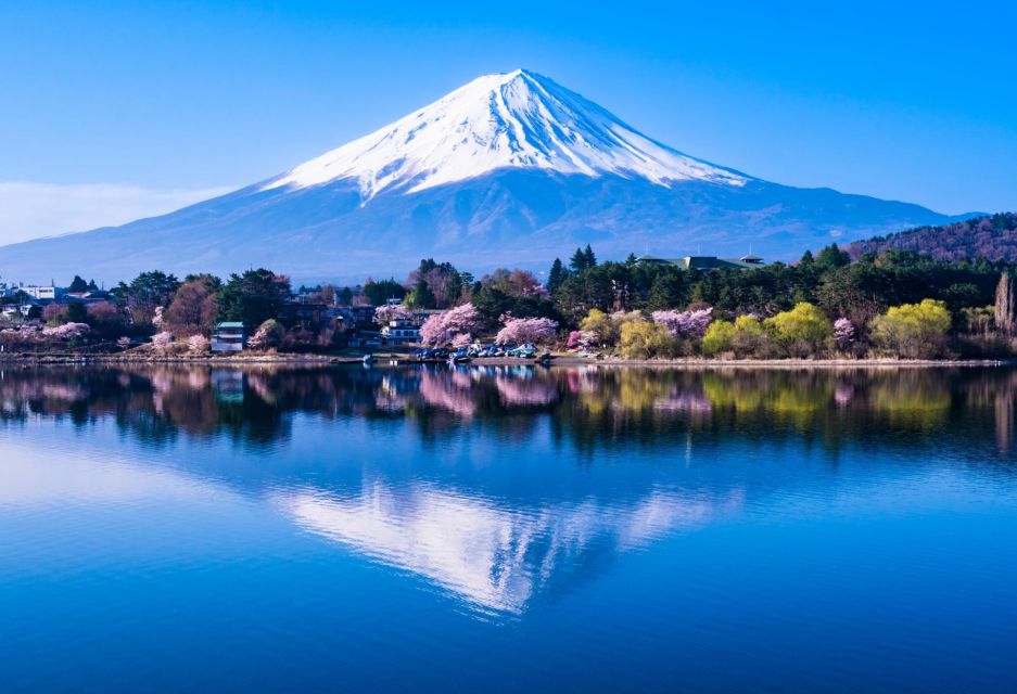 Tokyo: Mount Fuji and Lake Kawaguchi Scenic 1-Day Bus Tour - Customer Reviews