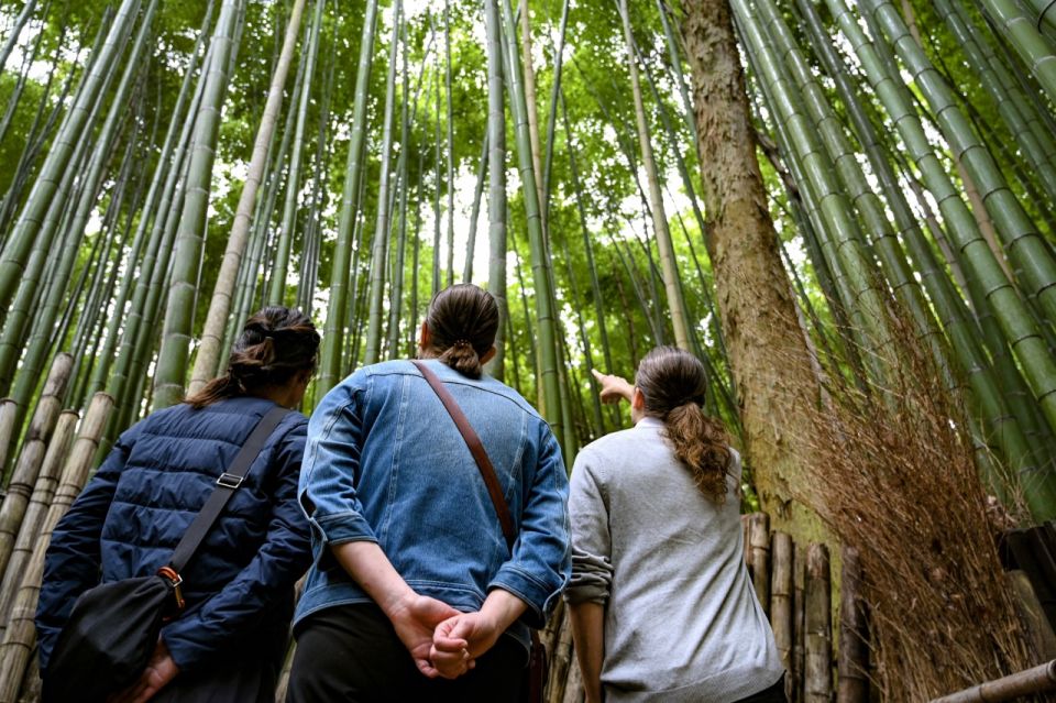 Arashiyama: Bamboo Grove and Temple Tour - Highlights of Arashiyama