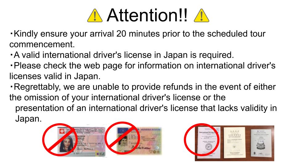 Osaka: Street Kart Experience on Public Roads - Requirements