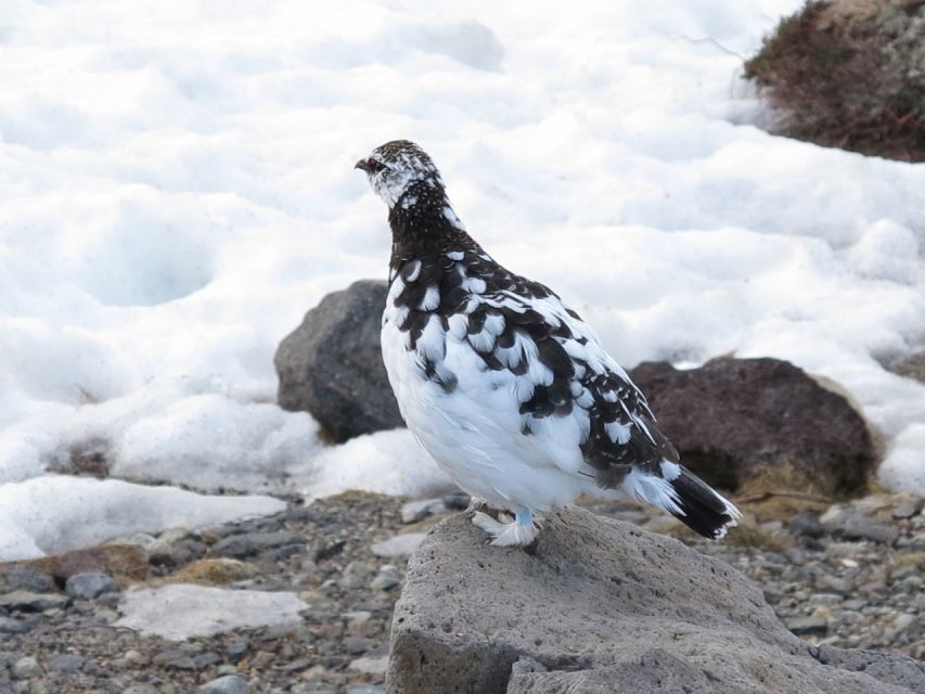 From Nagano: Tateyama-Kurobe Alpine Route - Conclusion