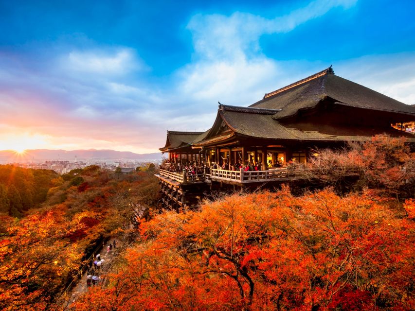 From Osaka: Kyoto Top Highlights Day Trip - Important Information