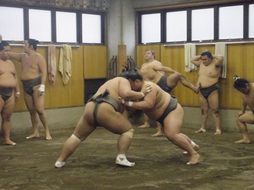 Tokyo: Sumo Morning Practice Viewing Tour - Itinerary