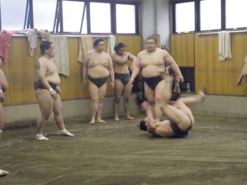 Tokyo: Sumo Morning Practice Viewing Tour - Key Takeaways