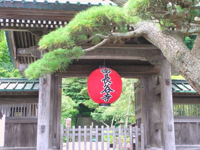 From Tokyo: Kamakura Temples Private Guided Tour - Customer Reviews