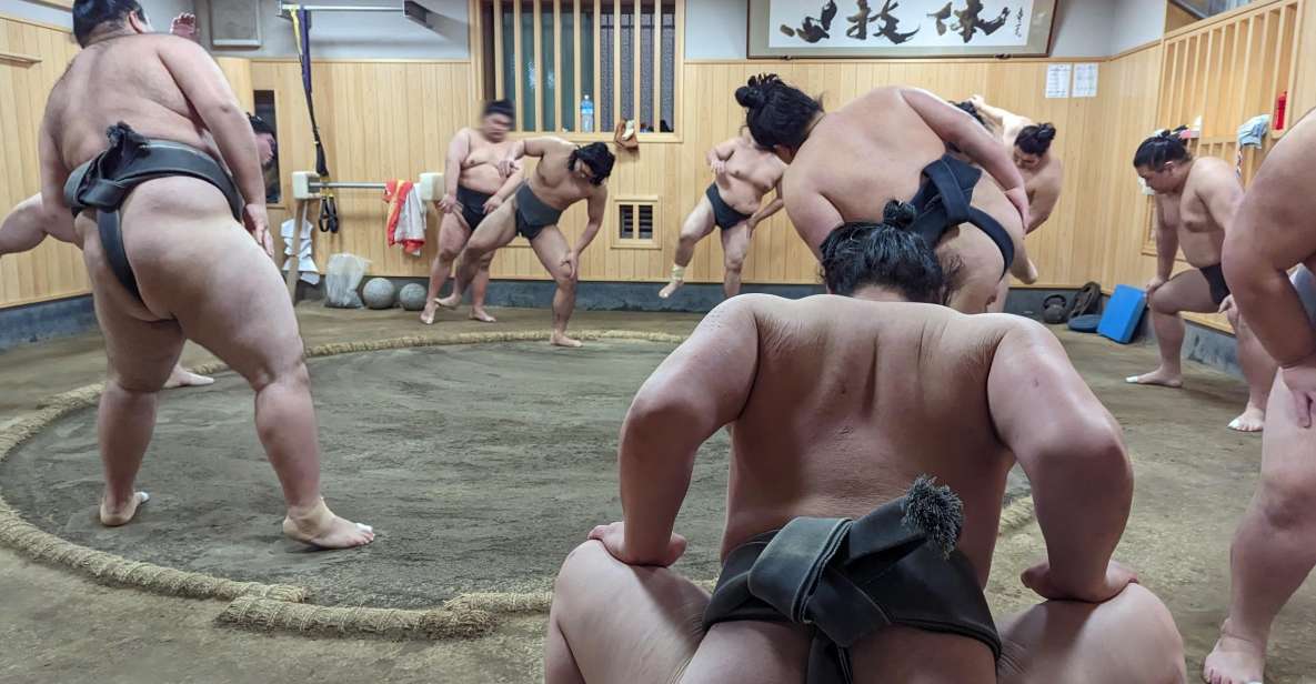 Tokyo: Morning Sumo Practice Viewing - Pricing and Group Size