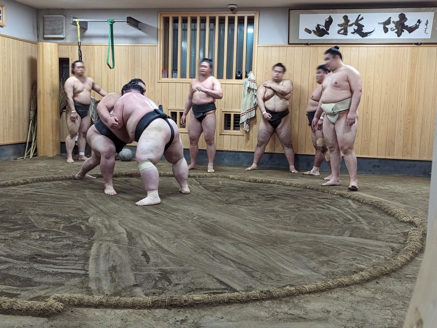 Tokyo: Morning Sumo Practice Viewing - Sumo Practice Overview