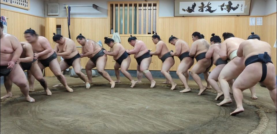 Tokyo: Morning Sumo Practice Viewing - Cancellation Policy and Meeting Point