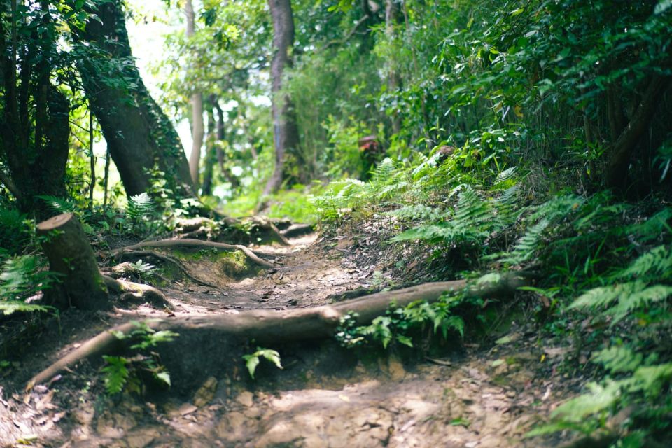 Kamakura Historical Hiking Tour With the Great Buddha - Important Information