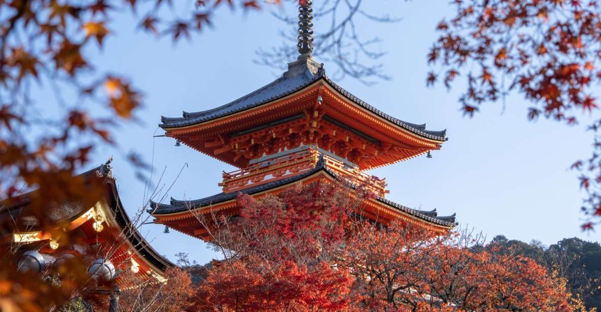 Kyoto: Personalized Guided Private Tour - Inclusions