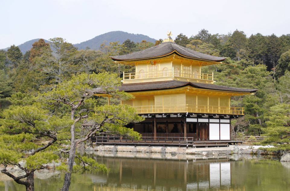 Kyoto: Personalized Guided Private Tour - Customer Reviews