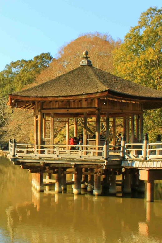 Nara: Heart of Nature Temple, Forest, & Waterfall Bike Tour - Exclusions