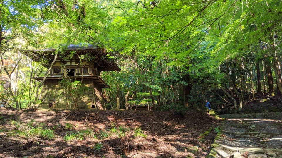 Nara: Heart of Nature Temple, Forest, & Waterfall Bike Tour - Conclusion