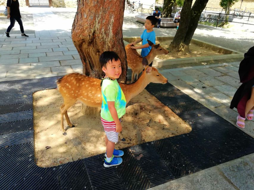 Nara: Nara Park Private Family Bike Tour With Lunch - Important Information