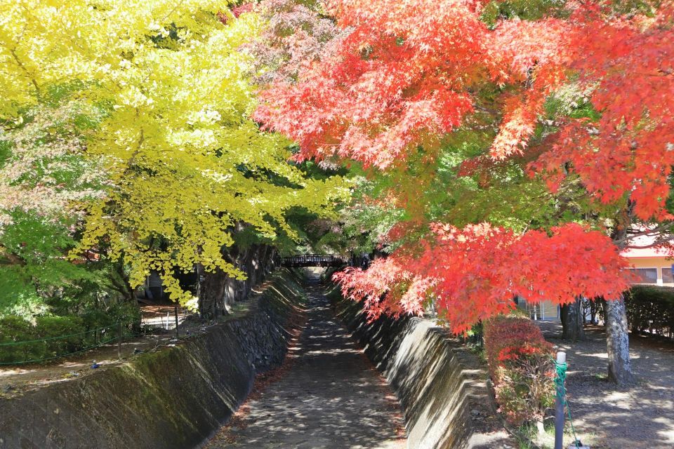 From Tokyo: Hakone, Owakudani, & Lake Kawaguchi Day Tour - Booking Information