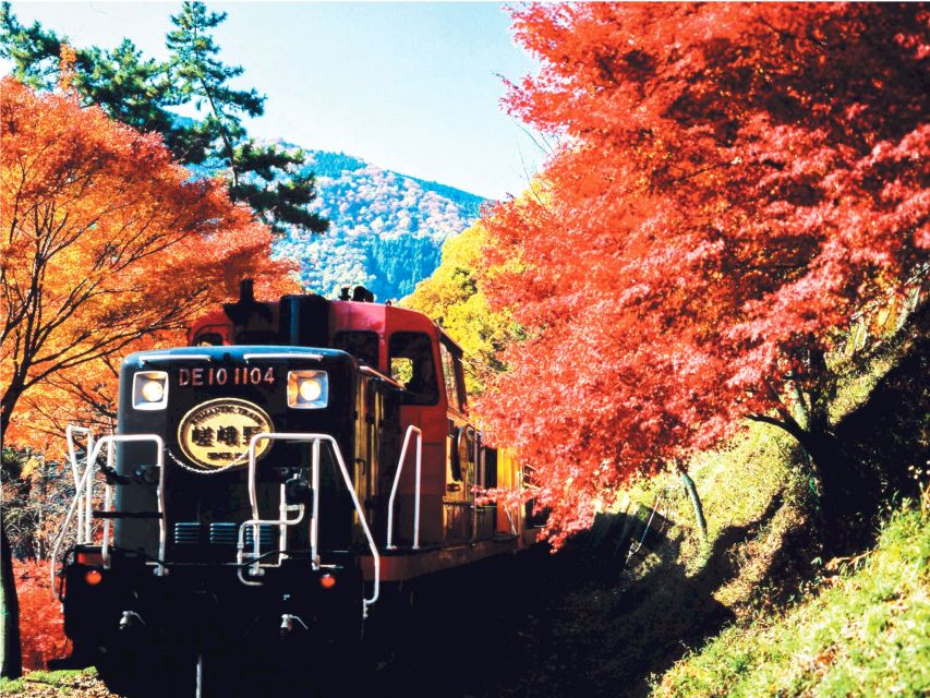 From Kyoto: Sagano Train Ride and Guided Kyoto Day Tour - Booking Information