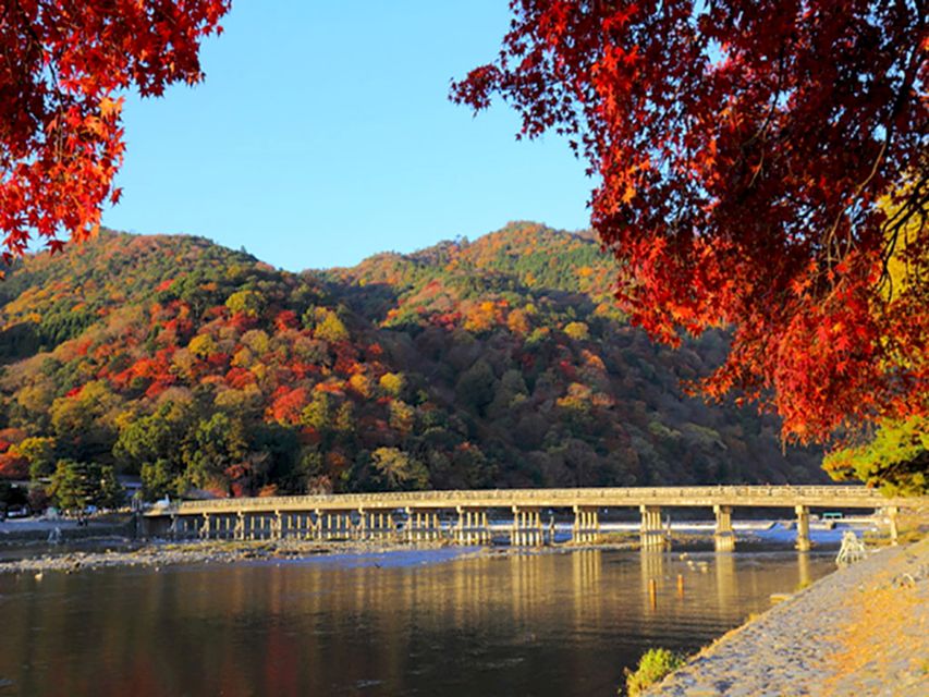 From Kyoto: Sagano Train Ride and Guided Kyoto Day Tour - Important Information