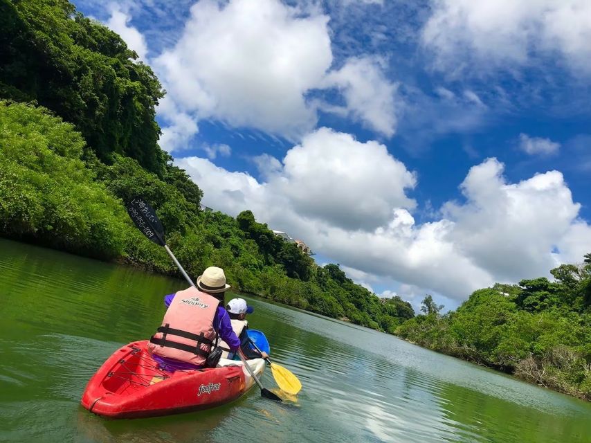 Okinawa: Mangrove Kayaking Tour - Requirements and Recommendations