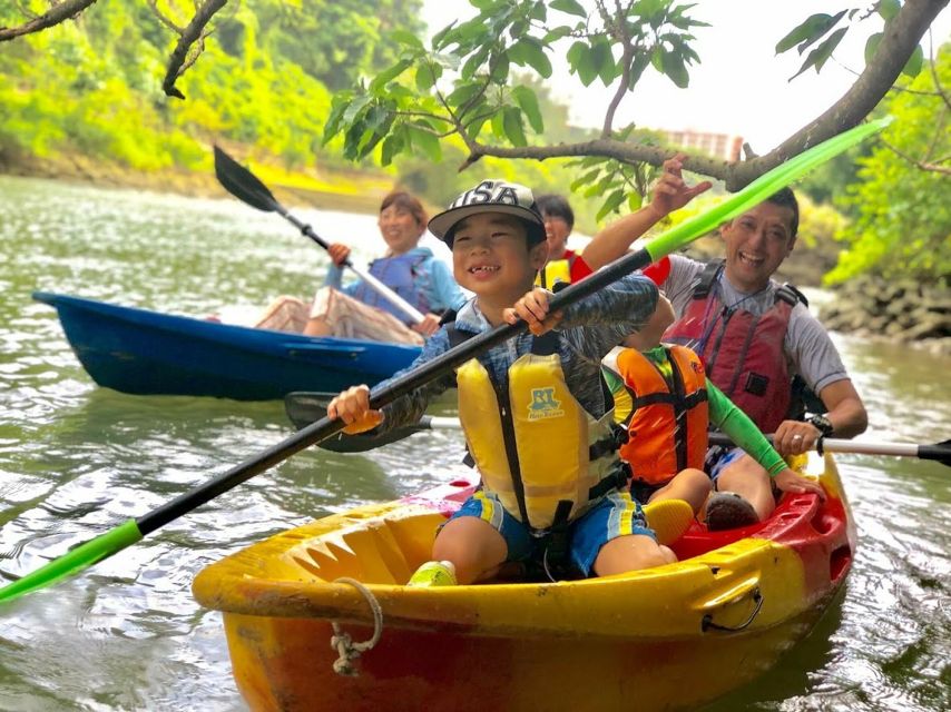 Okinawa: Mangrove Kayaking Tour - Key Takeaways