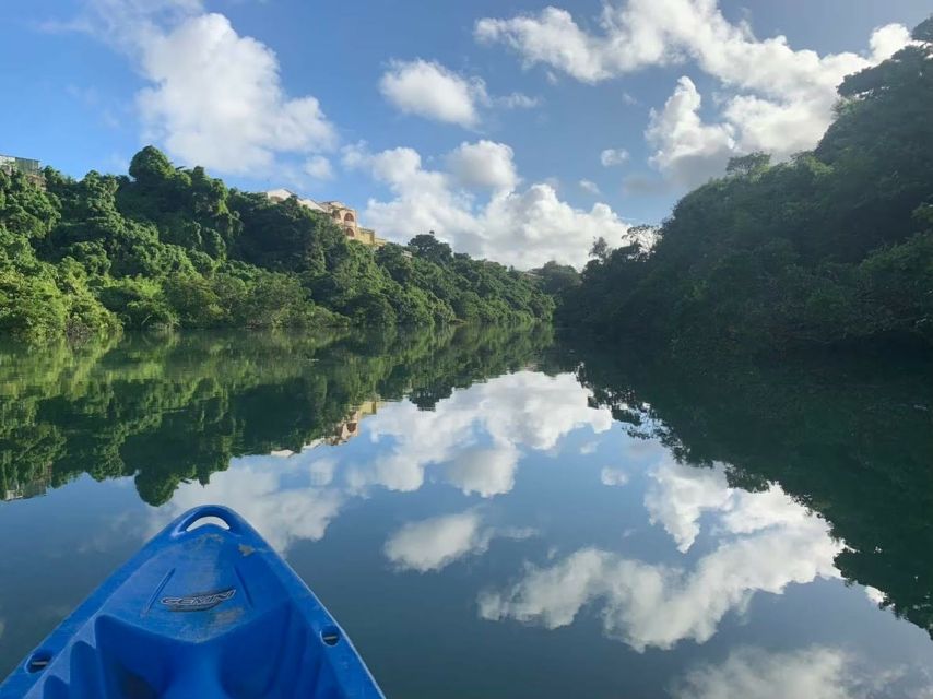 Okinawa: Mangrove Kayaking Tour - Inclusions