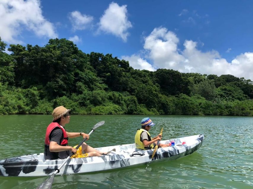 Okinawa: Mangrove Kayaking Tour - Meeting Point and Important Information