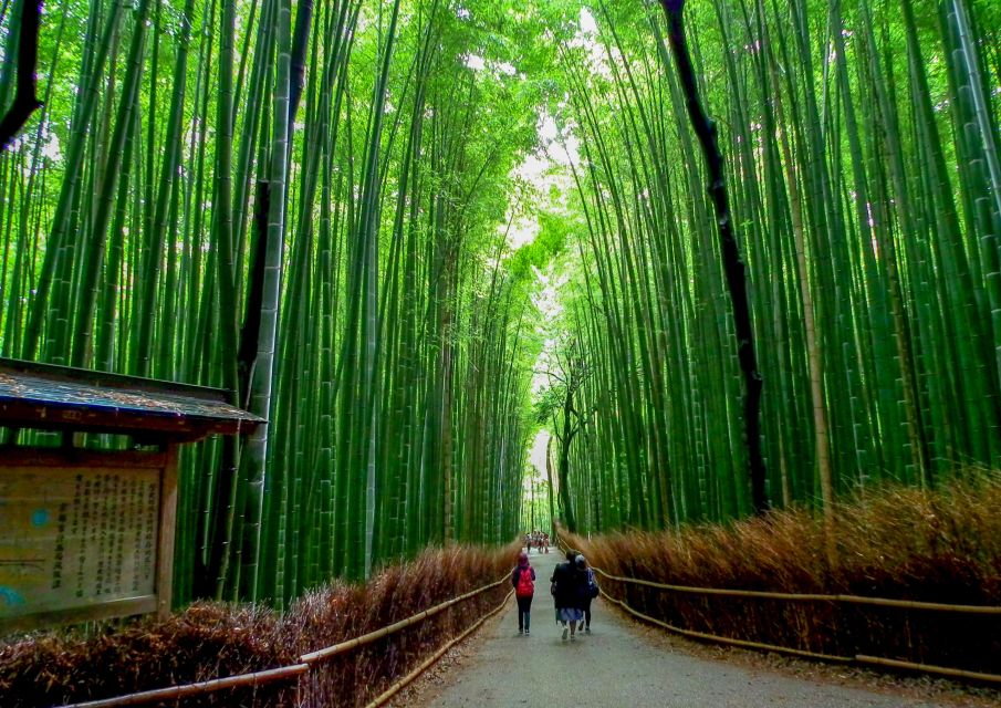 Kyoto: Japanese Gardens Private Customizable Tour - Highlights